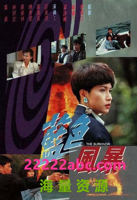 [TVB][1991][蓝色风暴][罗嘉良/邵美琪/陈秀雯][20集全/每集约700MB]国语中字/硬字幕/][宽屏版]